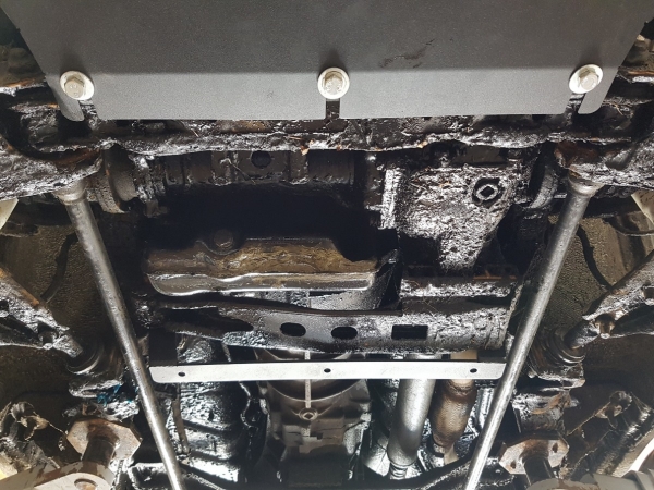 Scut motor Nissan Terrano II  5