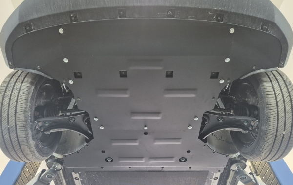 Scut motor BYD Dolphin Surf 4